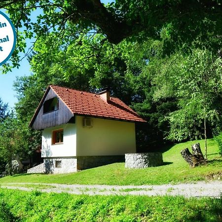 Forest House Villa Vrhnika Kültér fotó