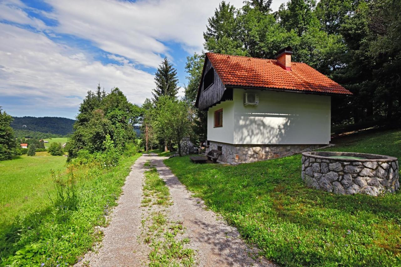 Forest House Villa Vrhnika Kültér fotó