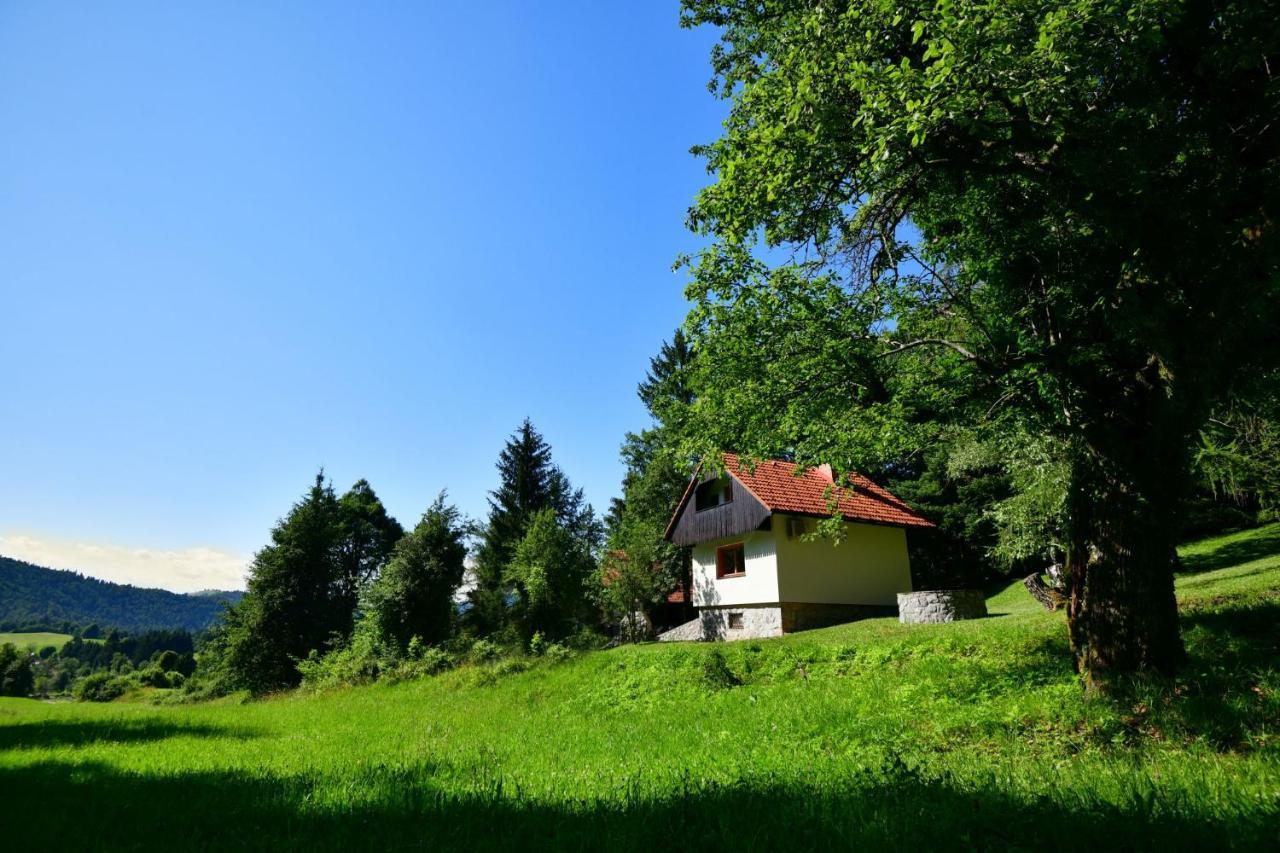 Forest House Villa Vrhnika Kültér fotó
