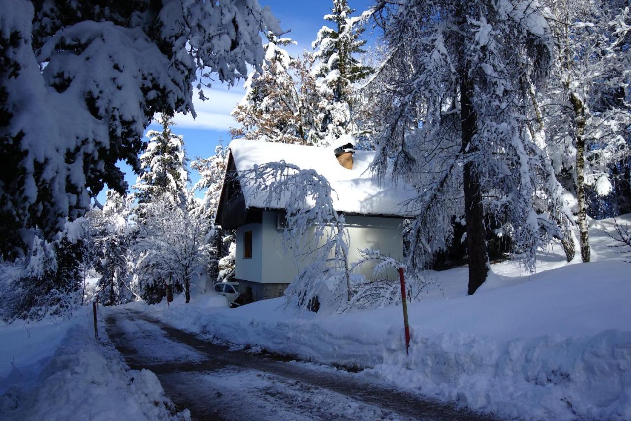 Forest House Villa Vrhnika Kültér fotó