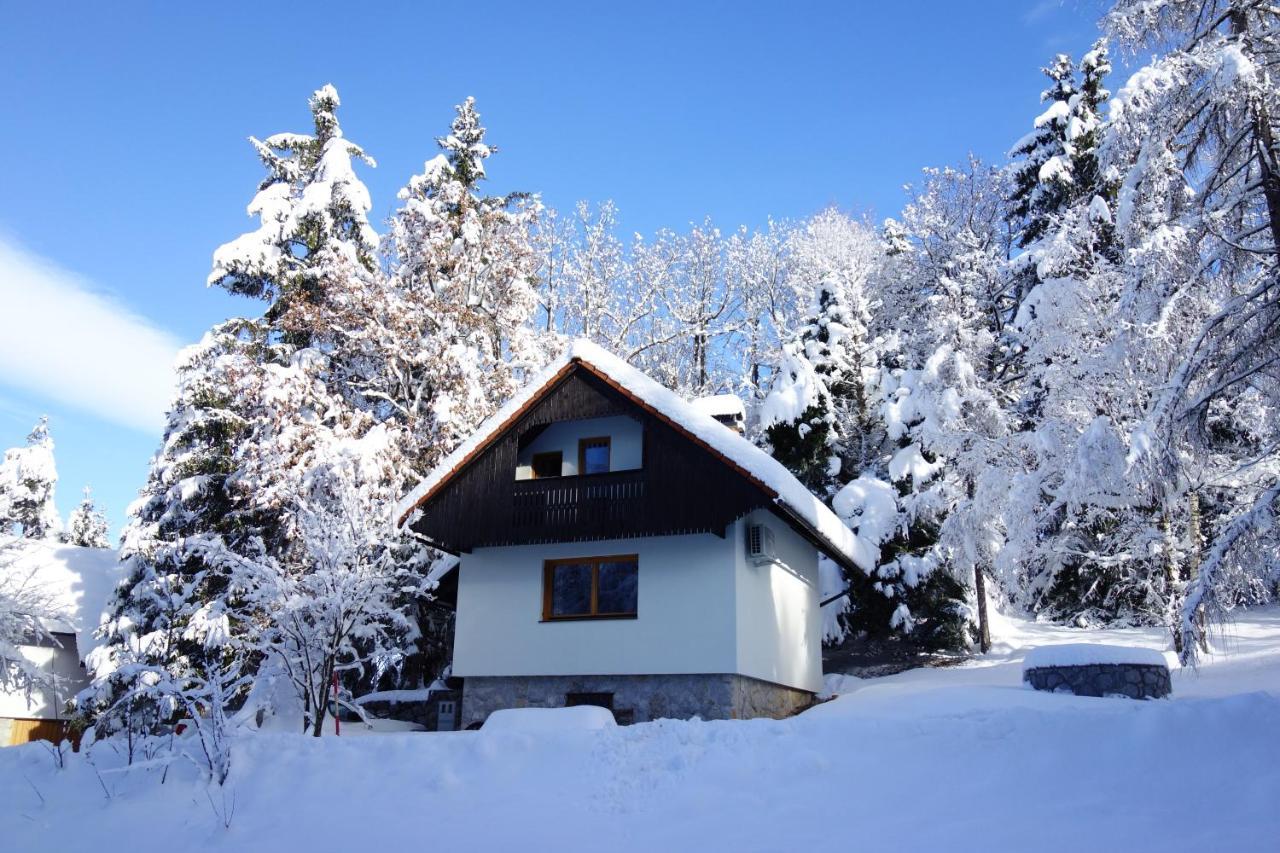 Forest House Villa Vrhnika Kültér fotó