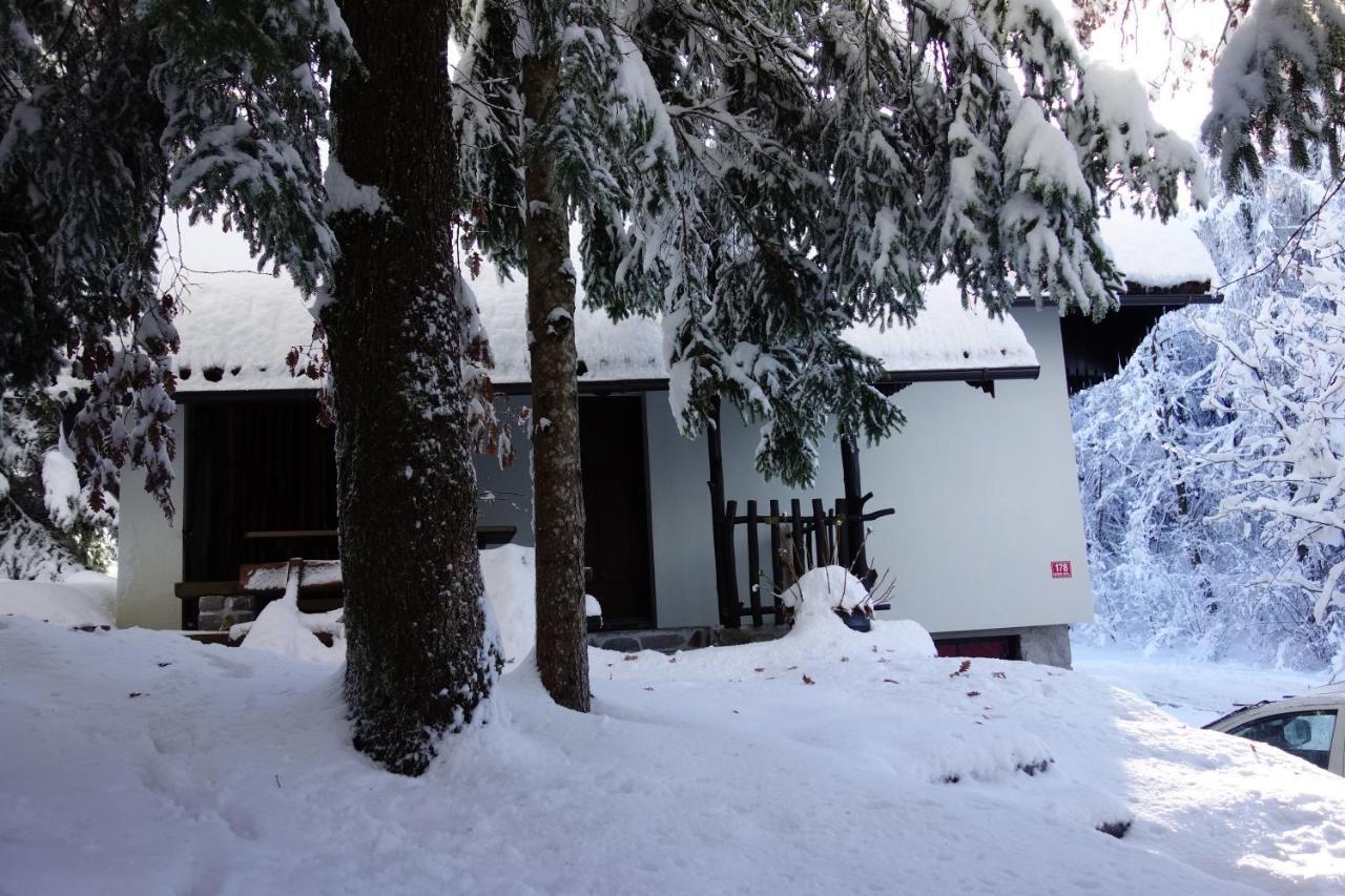 Forest House Villa Vrhnika Kültér fotó