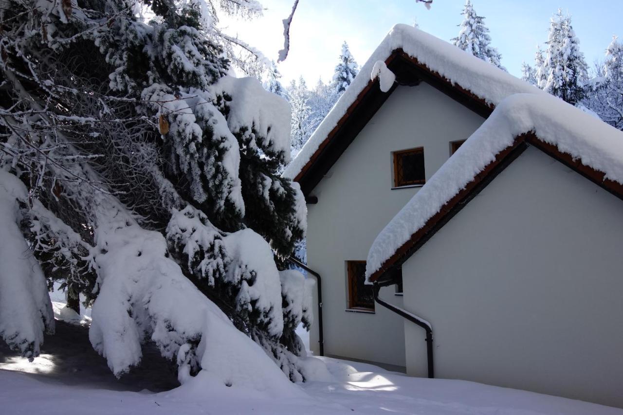 Forest House Villa Vrhnika Kültér fotó