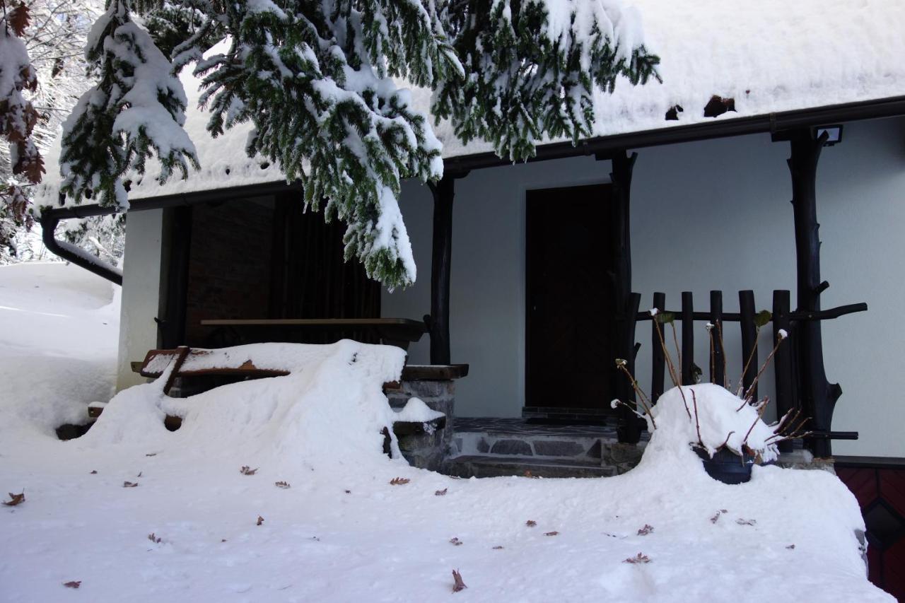 Forest House Villa Vrhnika Kültér fotó