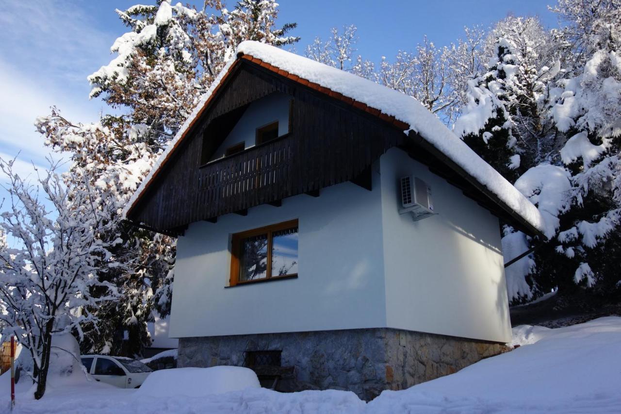 Forest House Villa Vrhnika Kültér fotó